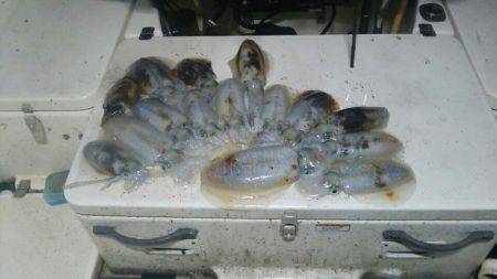 Monster Rush! 釣果