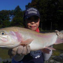 つりぼりあかし 釣果
