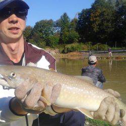 つりぼりあかし 釣果