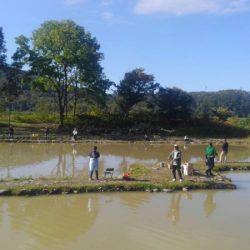 つりぼりあかし 釣果