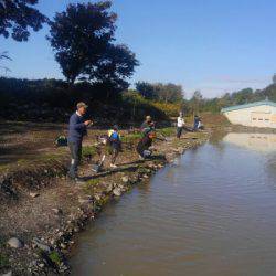 つりぼりあかし 釣果