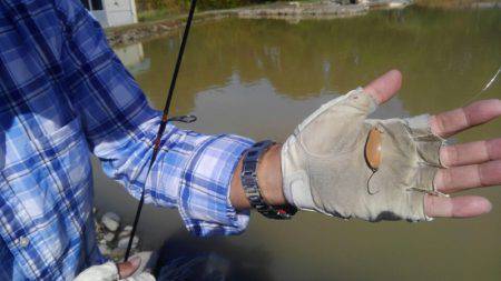 つりぼりあかし 釣果