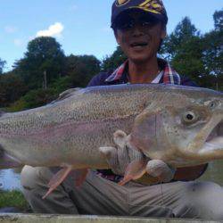 つりぼりあかし 釣果