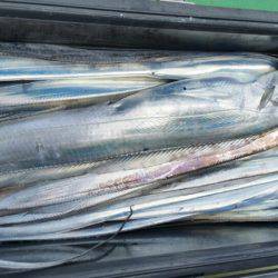 金沢八景鴨下丸 釣果