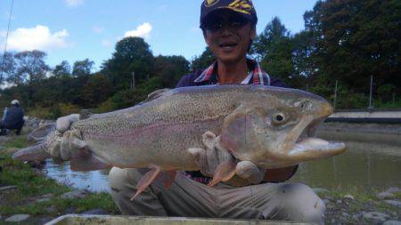 つりぼりあかし 釣果