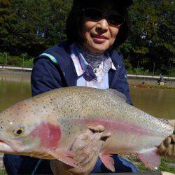 つりぼりあかし 釣果