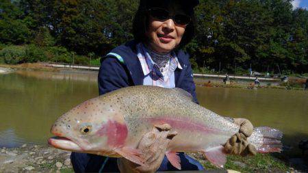 つりぼりあかし 釣果