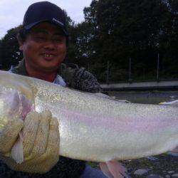 つりぼりあかし 釣果