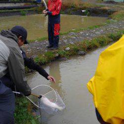 つりぼりあかし 釣果