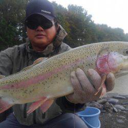 つりぼりあかし 釣果