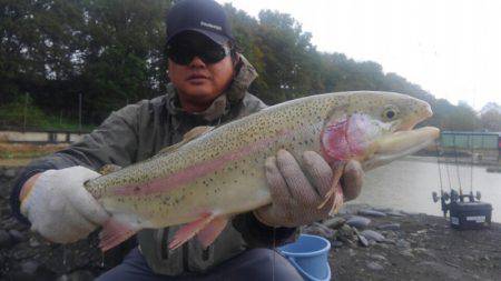 つりぼりあかし 釣果