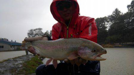 つりぼりあかし 釣果