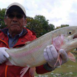 つりぼりあかし 釣果
