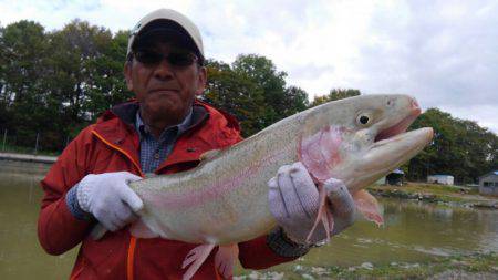 つりぼりあかし 釣果