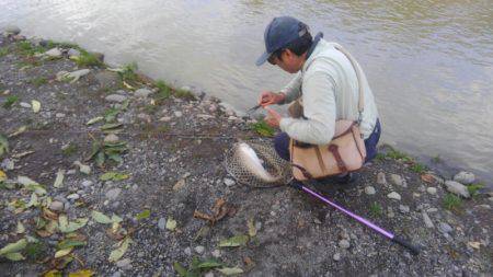 つりぼりあかし 釣果