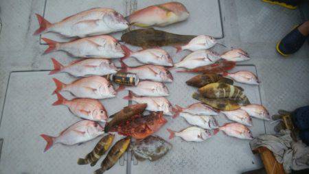 海季丸（みきまる） 釣果