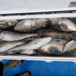 海龍丸（石川） 釣果