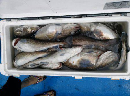 海龍丸（石川） 釣果