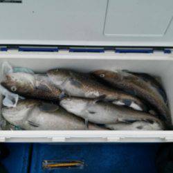 海龍丸（石川） 釣果