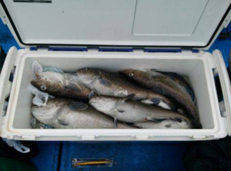 海龍丸（石川） 釣果