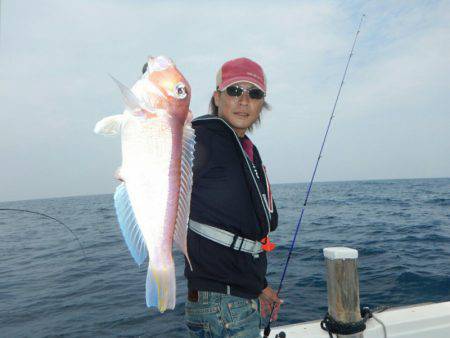 きずなまりん 釣果