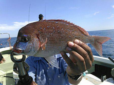 天祐丸 釣果