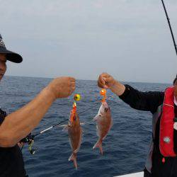 ソルトウォーターガイドフレンズ 釣果