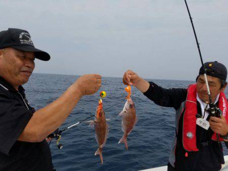 ソルトウォーターガイドフレンズ 釣果