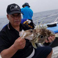 ソルトウォーターガイドフレンズ 釣果