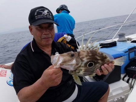 ソルトウォーターガイドフレンズ 釣果