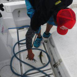 海龍丸(島根) 釣果