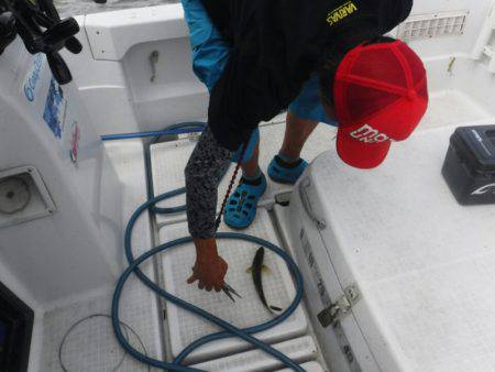 海龍丸(島根) 釣果