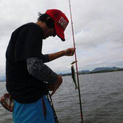 海龍丸(島根) 釣果