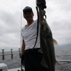 海龍丸(島根) 釣果