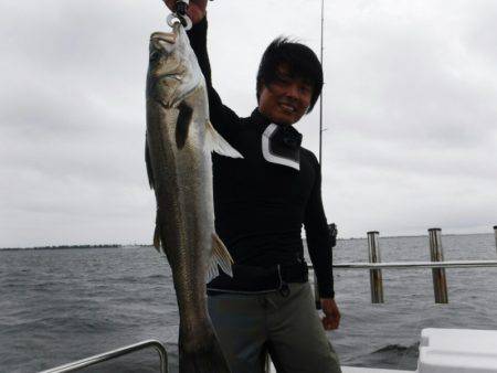 海龍丸(島根) 釣果