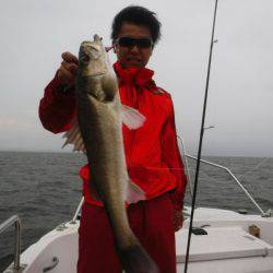 海龍丸（島根） 釣果