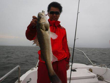 海龍丸（島根） 釣果