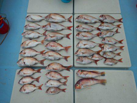 きずなまりん 釣果