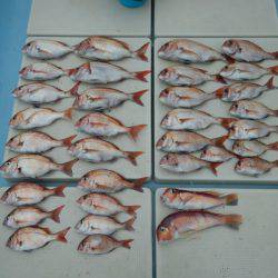 きずなまりん 釣果