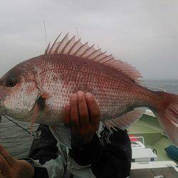 天祐丸 釣果