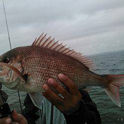 天祐丸 釣果