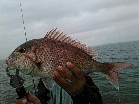 天祐丸 釣果
