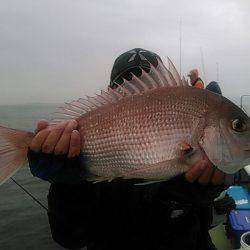 天祐丸 釣果