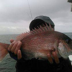 天祐丸 釣果