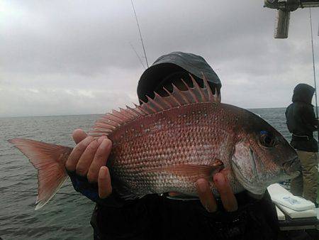 天祐丸 釣果