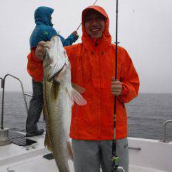 海龍丸(島根) 釣果