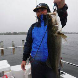 海龍丸(島根) 釣果