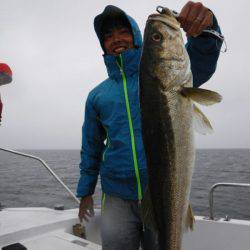海龍丸(島根) 釣果