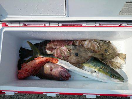 エンペラー 釣果