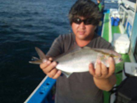 丸万釣船 釣果